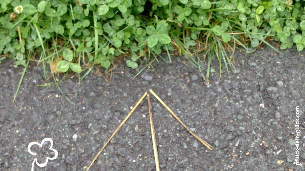 gluecksklee-48-christina1a