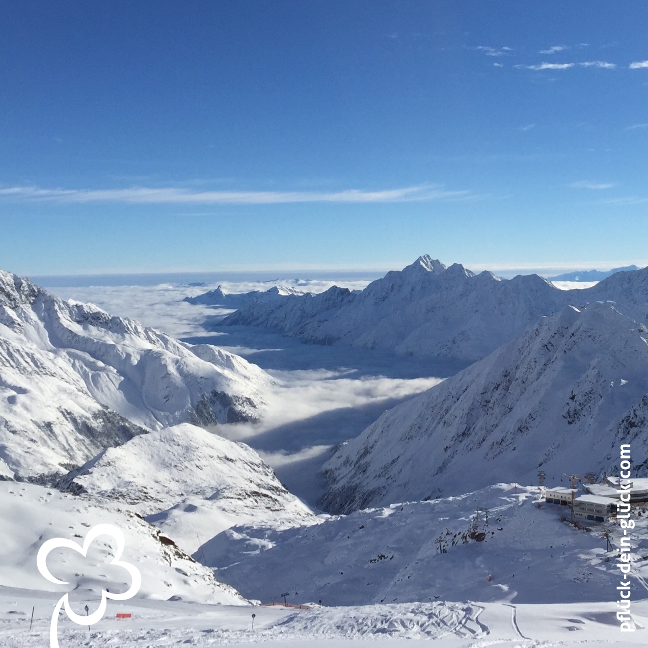 gluecksklee-86a-gletscher